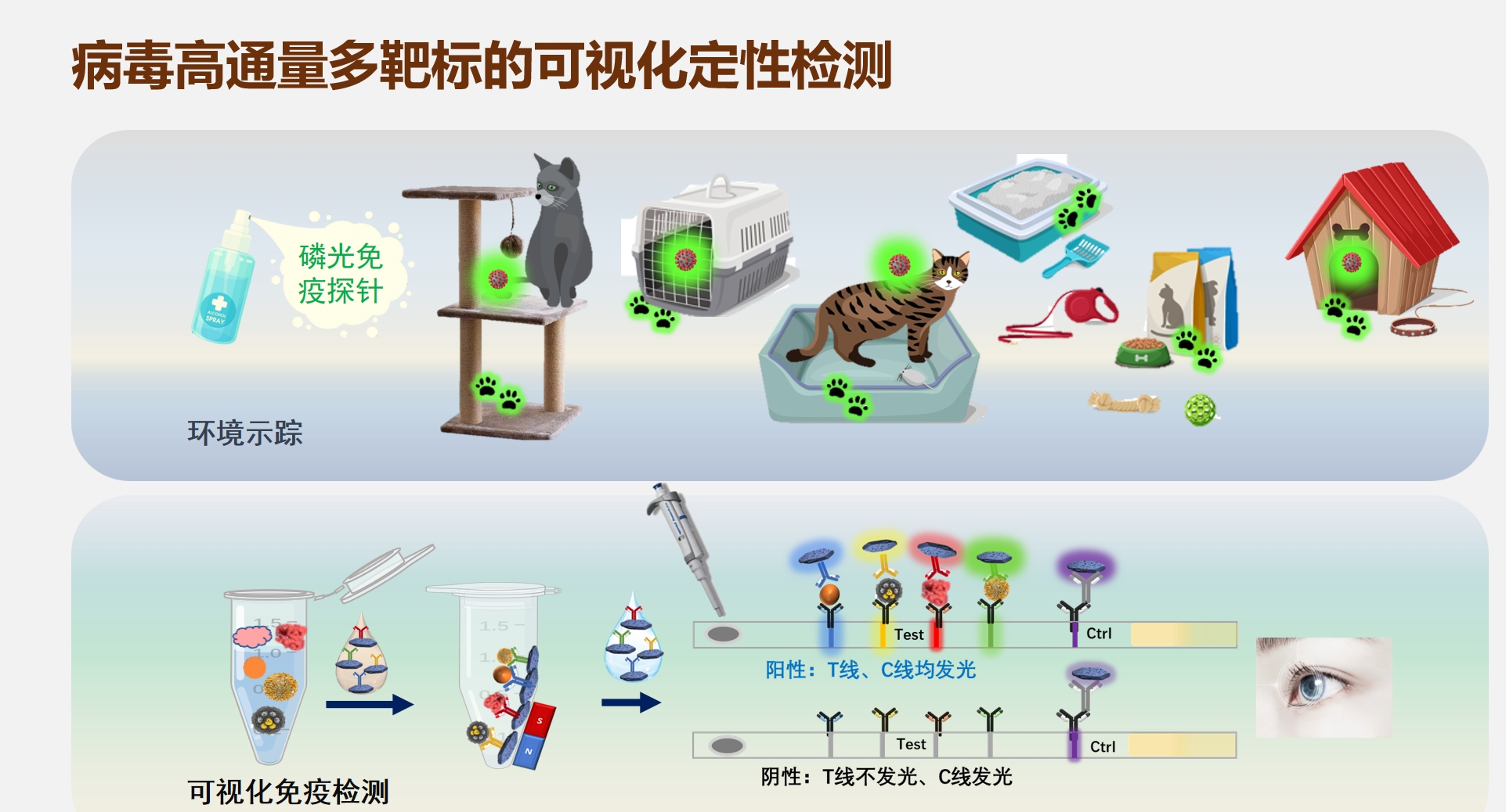 威尼斯人官网